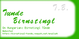 tunde birnstingl business card
