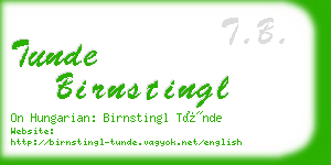 tunde birnstingl business card